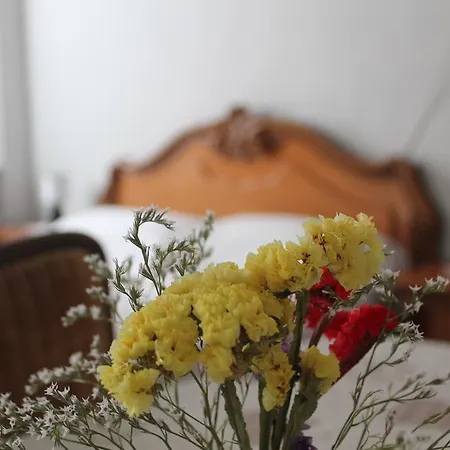 Bed & Breakfast Terra Nostra